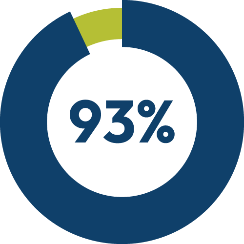93 pct pie chart 